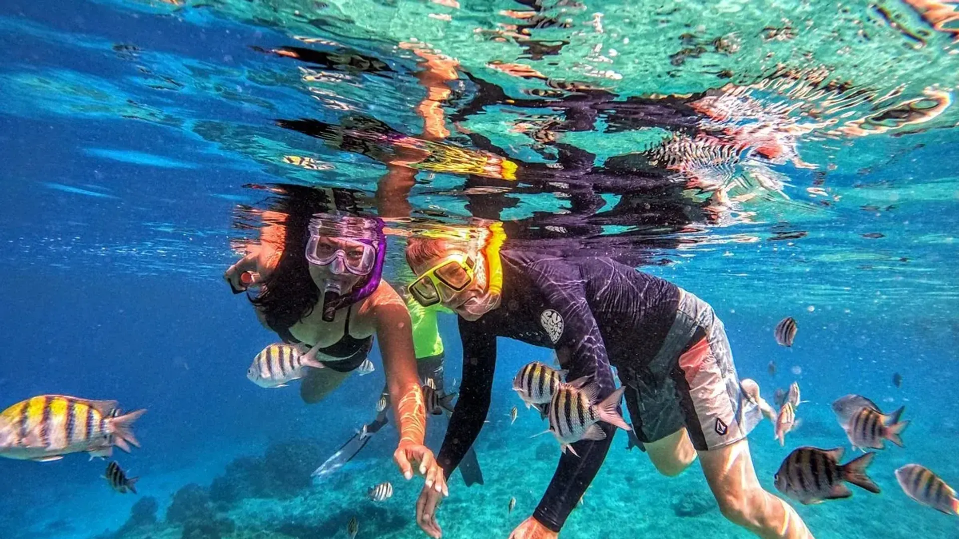 Snorkeling with tropical fish on a Cozumel reef
